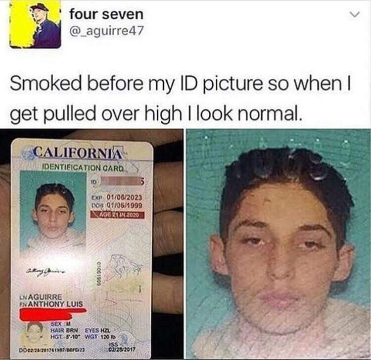 smoked before my id picture so when i get pulled over high i look normal.