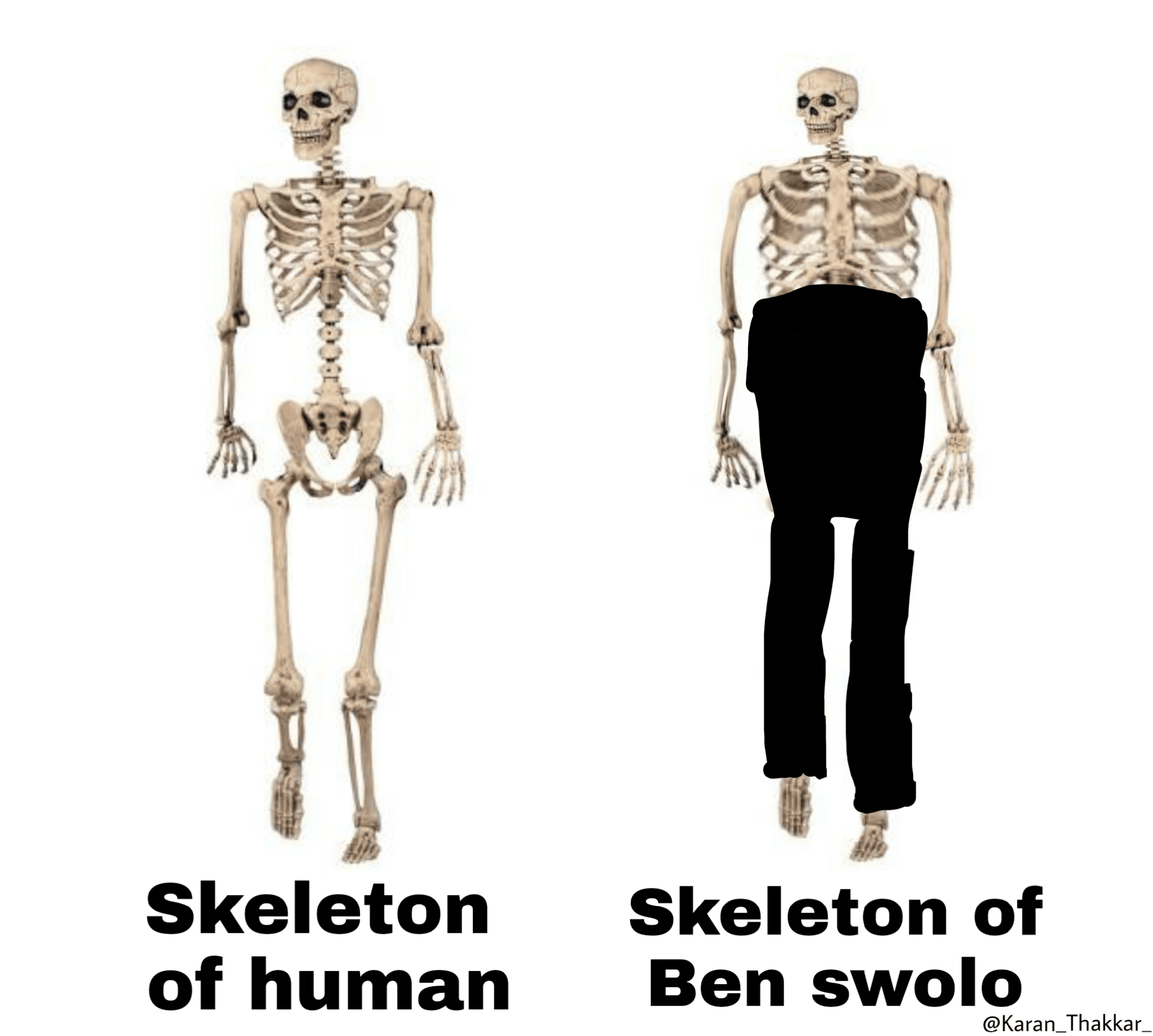 skeleton of human