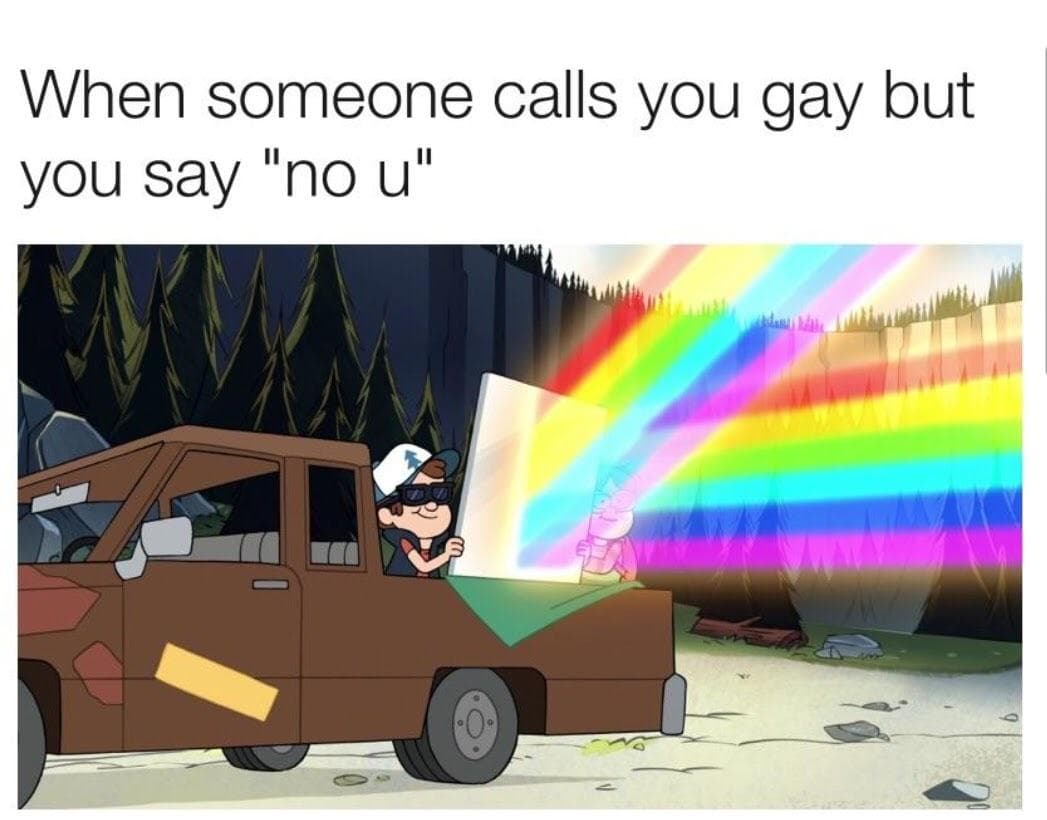 when someone calls you gay but you say "no u"