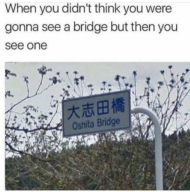 when you didn't think you were gonna see a bridge but then you see one
