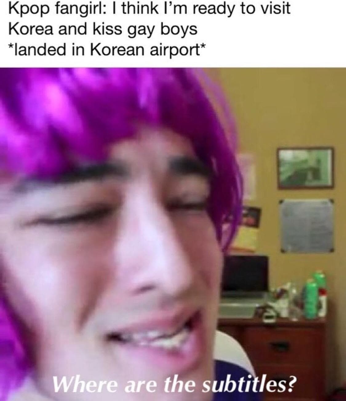 kpop fangirl: i think i'm ready to visit korea and kiss gay boys