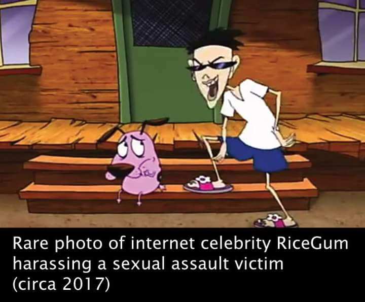rare photo of internet celebrity ricegum harassing a sexual assault victim (circa 2017)