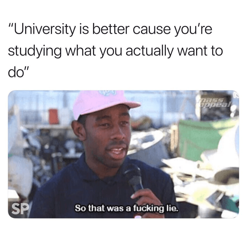 "university is better cause you're studying what you actually want to do"