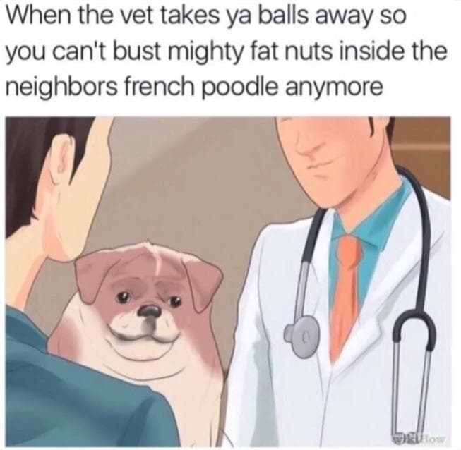 when the vet takes ya balls away so you can't bust mighty fat nuts inside the neighbors french poodle anymore