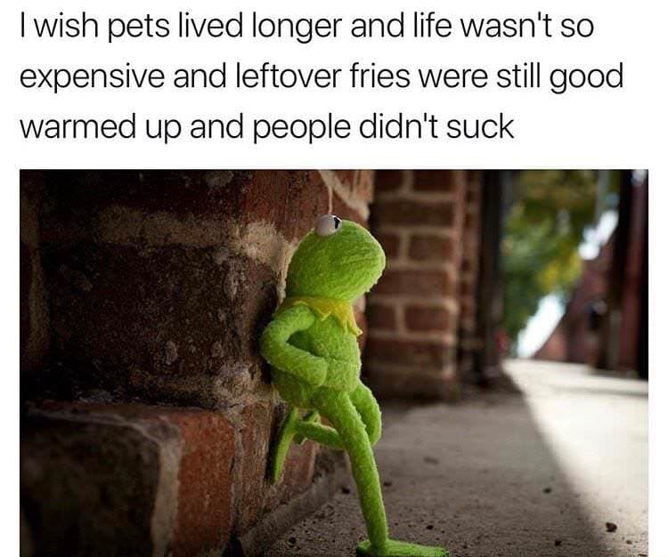 i wish pets lived longer and life wasn't so expensive and leftover fries were still good warmed up and people didn't suck