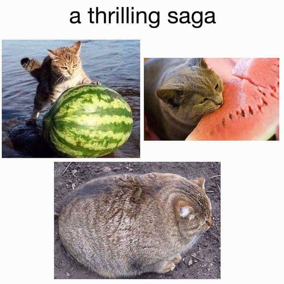 a thrilling saga
