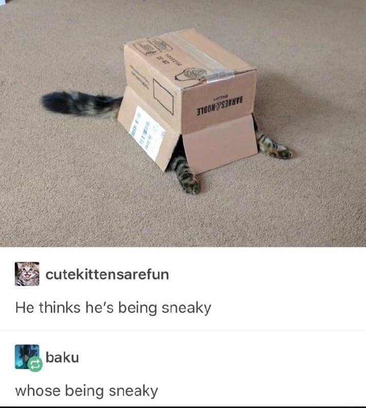 he thinks he's being sneaky