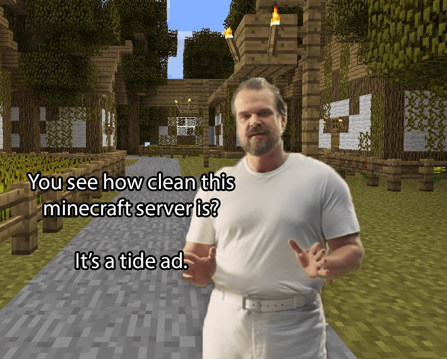 you see how clean this minecraft server is?