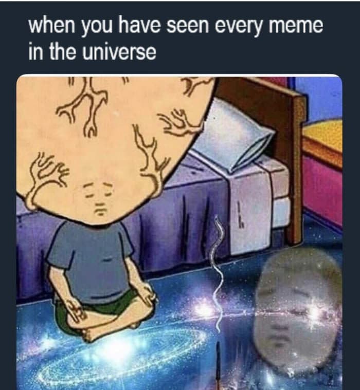 when you have seen every meme in the universe