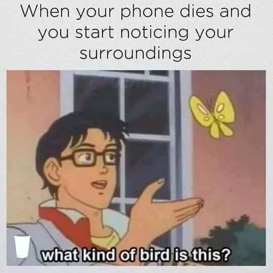 when your phone dies and you start noticing your surroundings