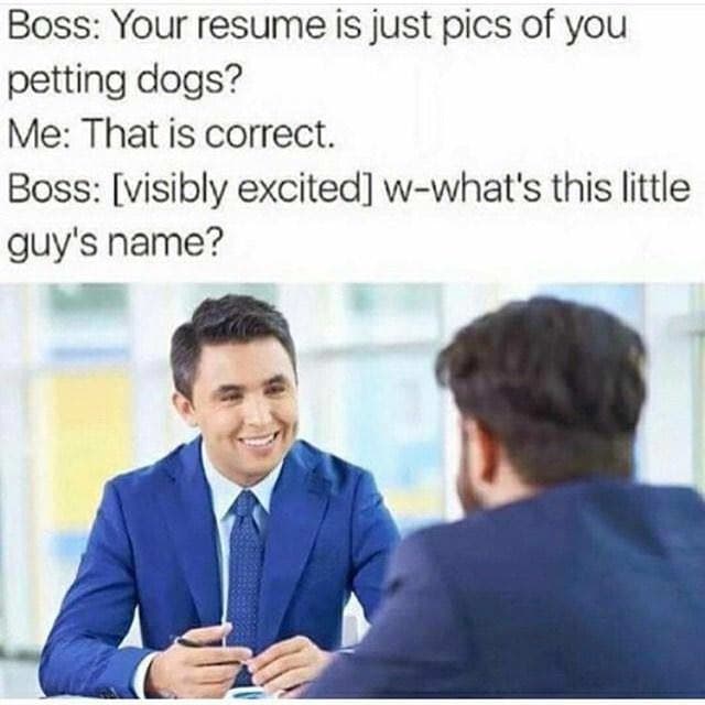 boss: your resume is just pics of you petting dogs?
