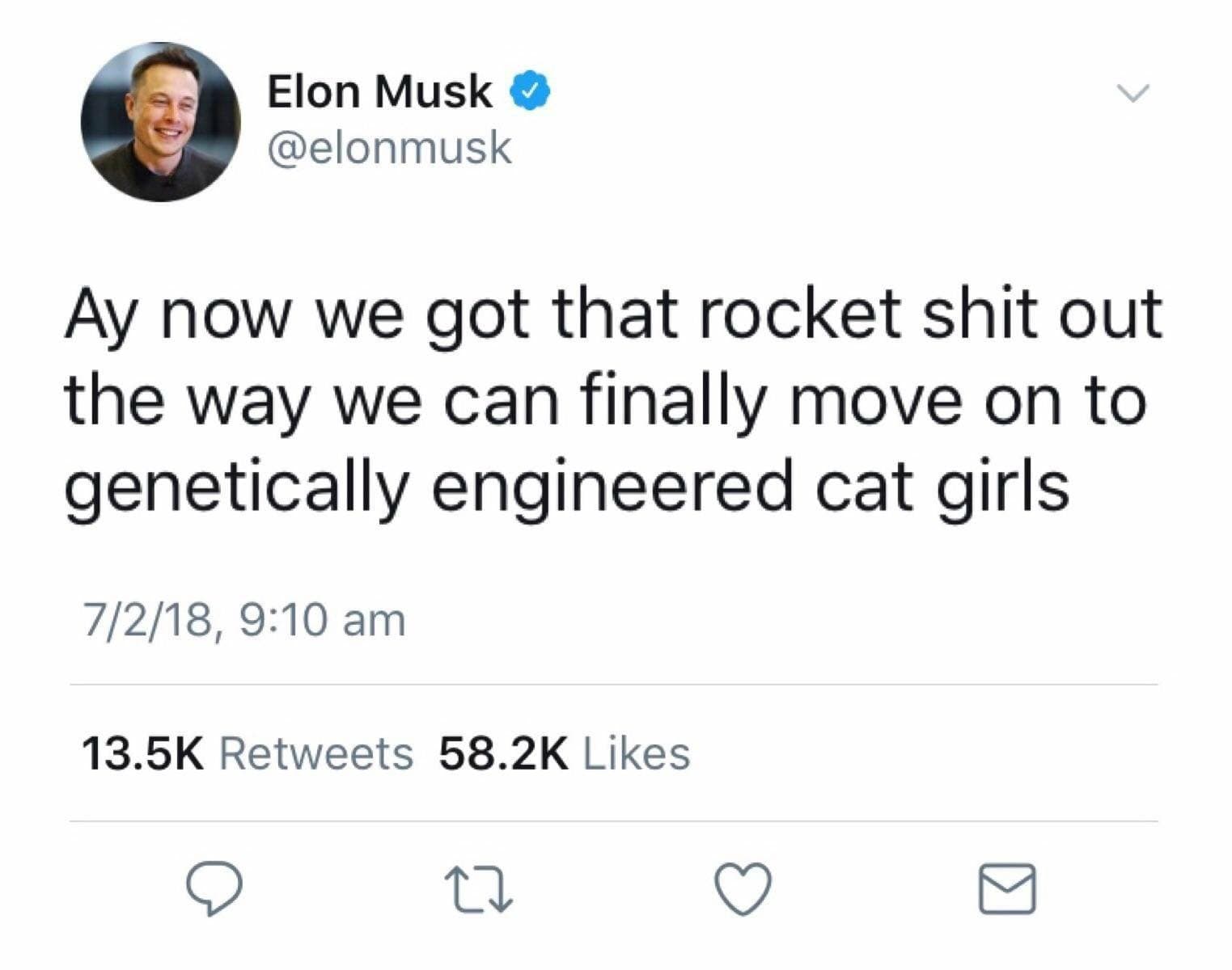 ay now we got that rocket shit out the way we can finally move on to genetically engineered cat girls