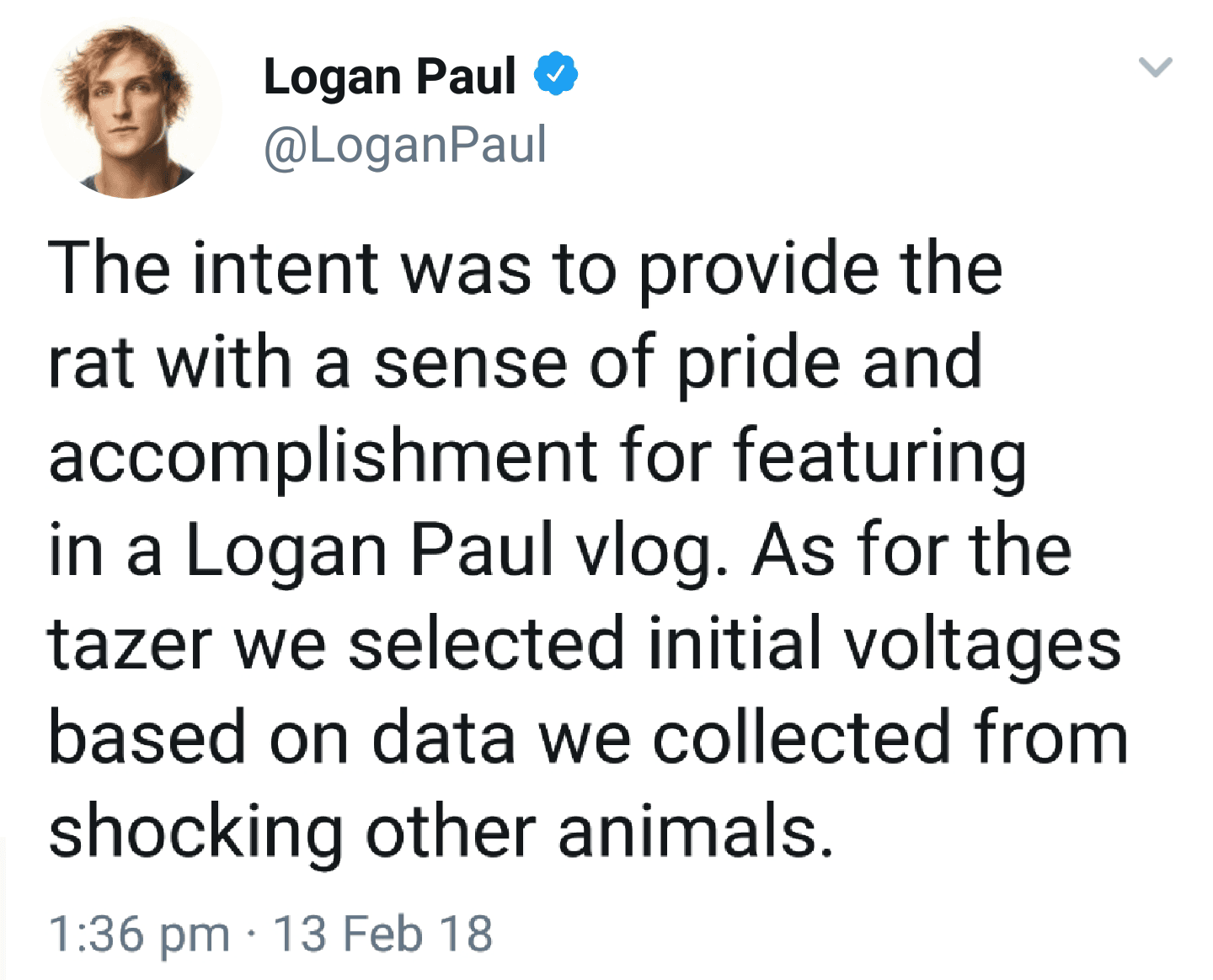 the intent was to provide the rat with a sense of pride and accomplishment for featuring in a logan paul vlog.