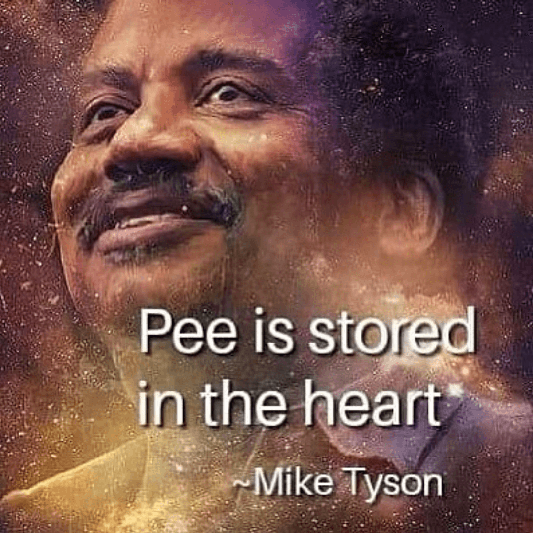 pee is stored in the heart