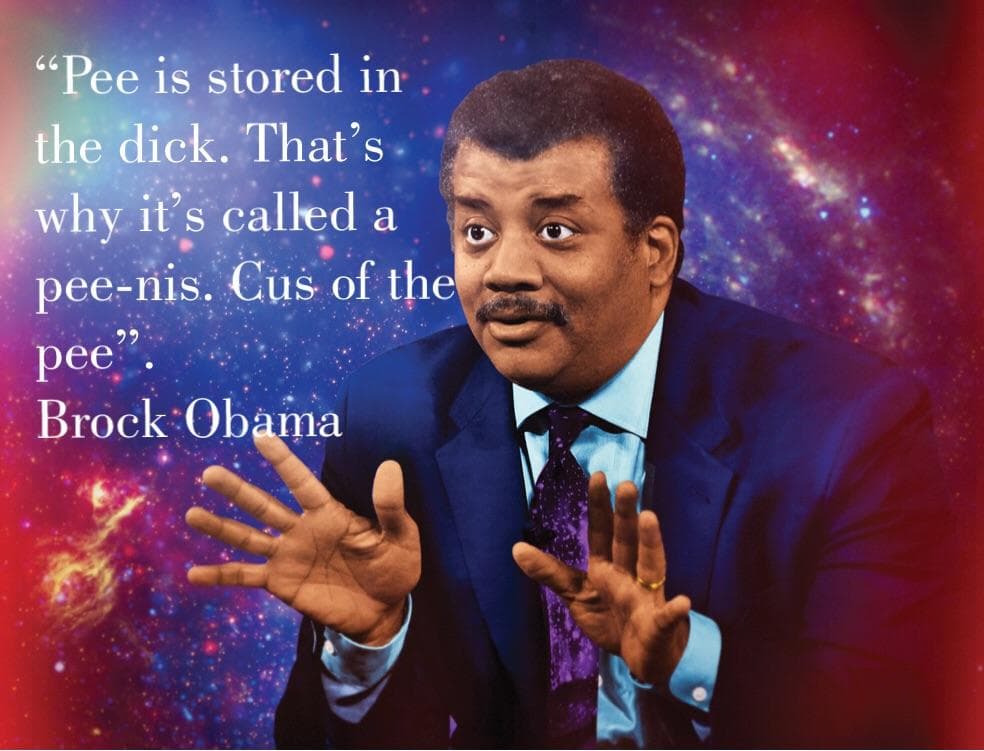 pee is stored in the dick.