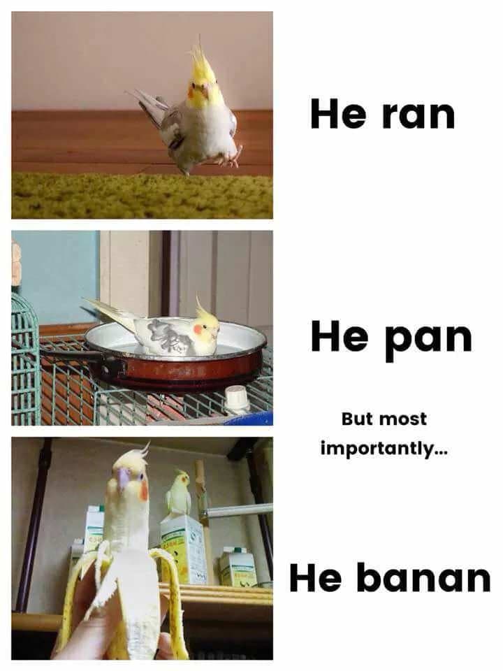 he ran