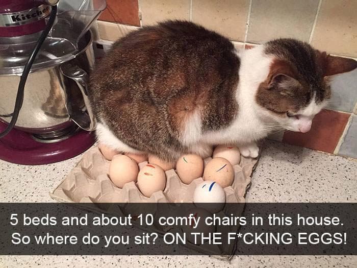 5 beds and about 10 comfy chairs in this house.