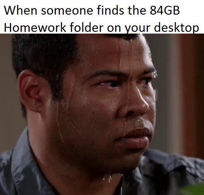 when someone finds the 84gb homework folder on your desktop