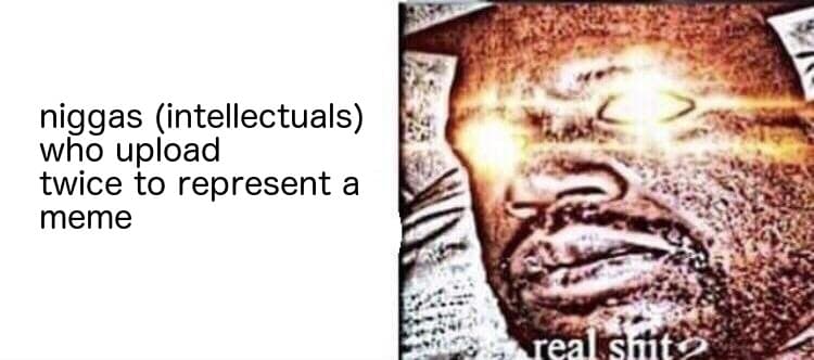 niggas (intellectuals) who upload twice to represent a meme