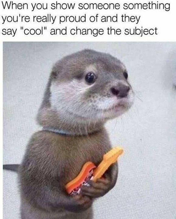 when you show someone something you're really proud of and they say 'cool' and change the subject