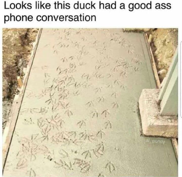 looks like this duck had a good ass phone conversation
