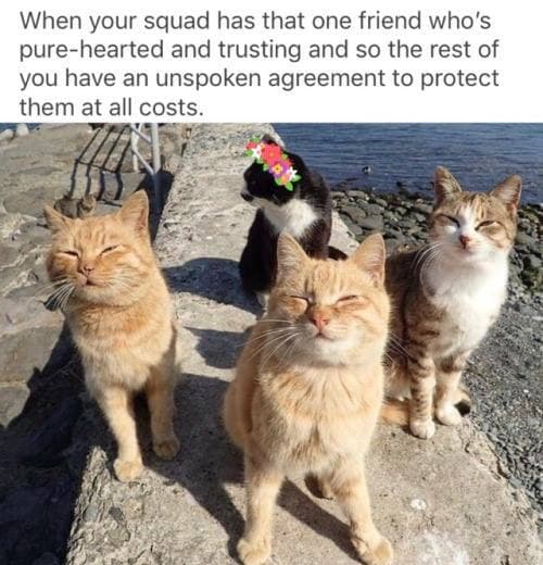 when your squad has that one friend who's pure-hearted and trusting and so the rest of you have an unspoken agreement to protect them at all costs.