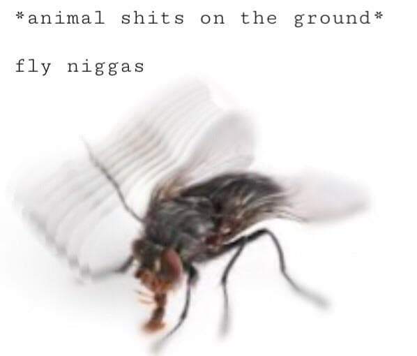 *animal shits on the ground*
