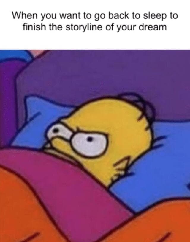 when you want to go back to sleep to finish the storyline of your dream