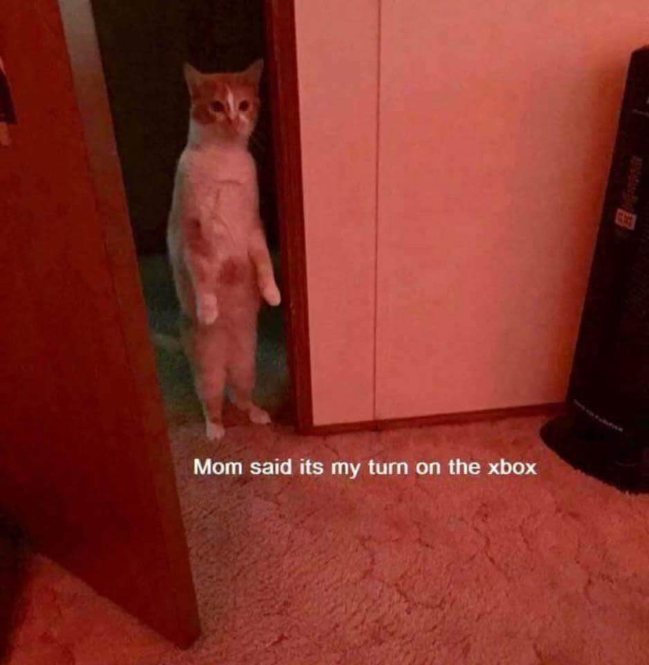 mom said its my turn on the xbox
