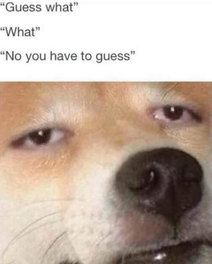 guess what