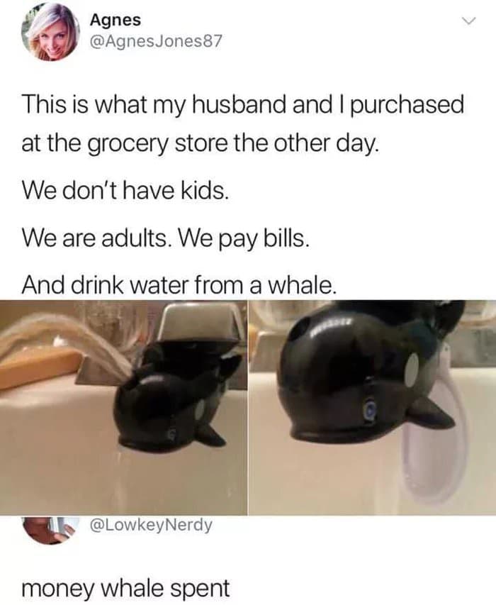 this is what my husband and i purchased at the grocery store the other day.