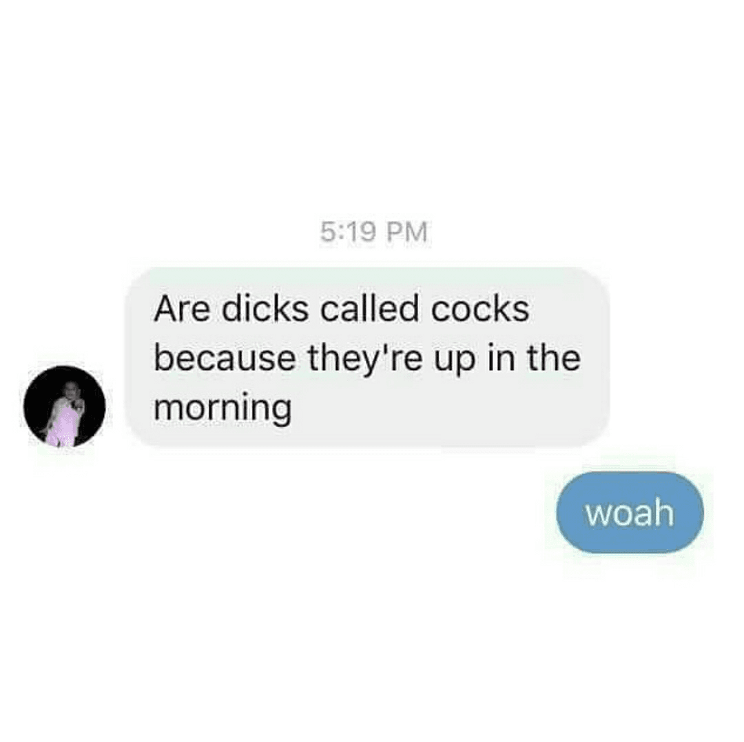 are dicks called cocks because they're up in the morning