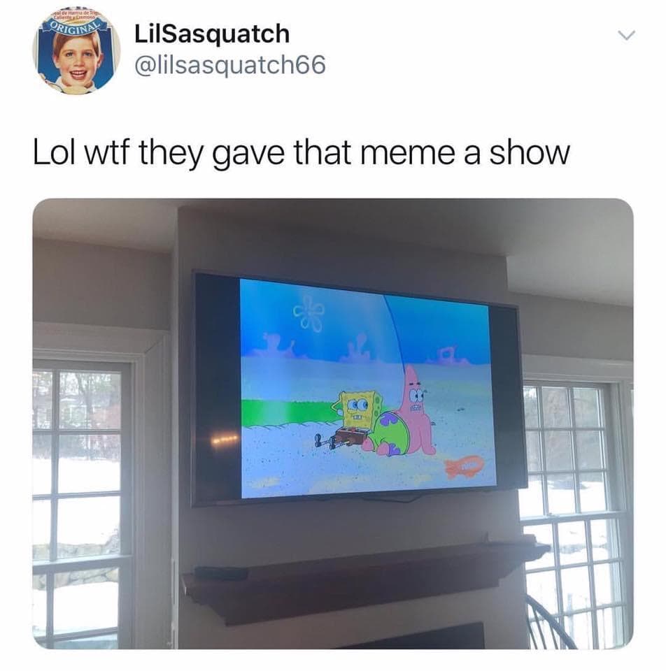 lol wtf they gave that meme a show