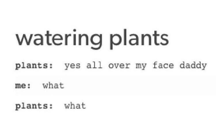 watering plants