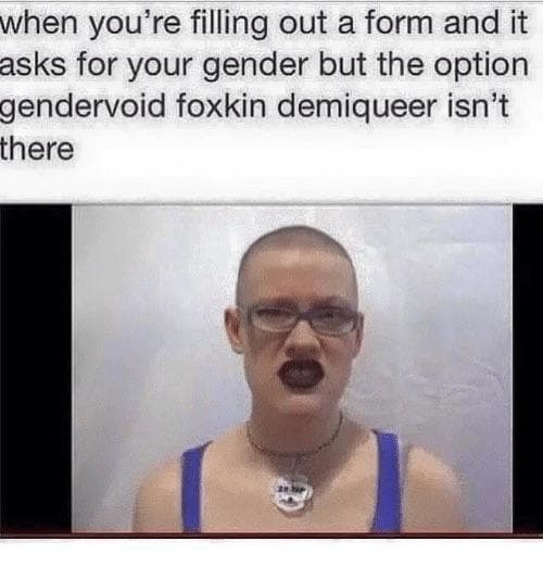 when you're filling out a form and it asks for your gender but the option gendervoid foxkin demiqueer isn't there