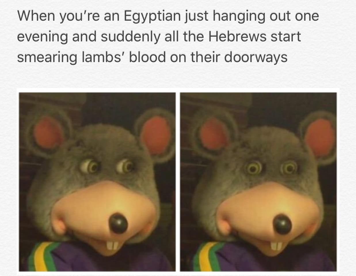when you're an egyptian just hanging out one evening and suddenly all the hebrews start smearing lambs' blood on their doorways
