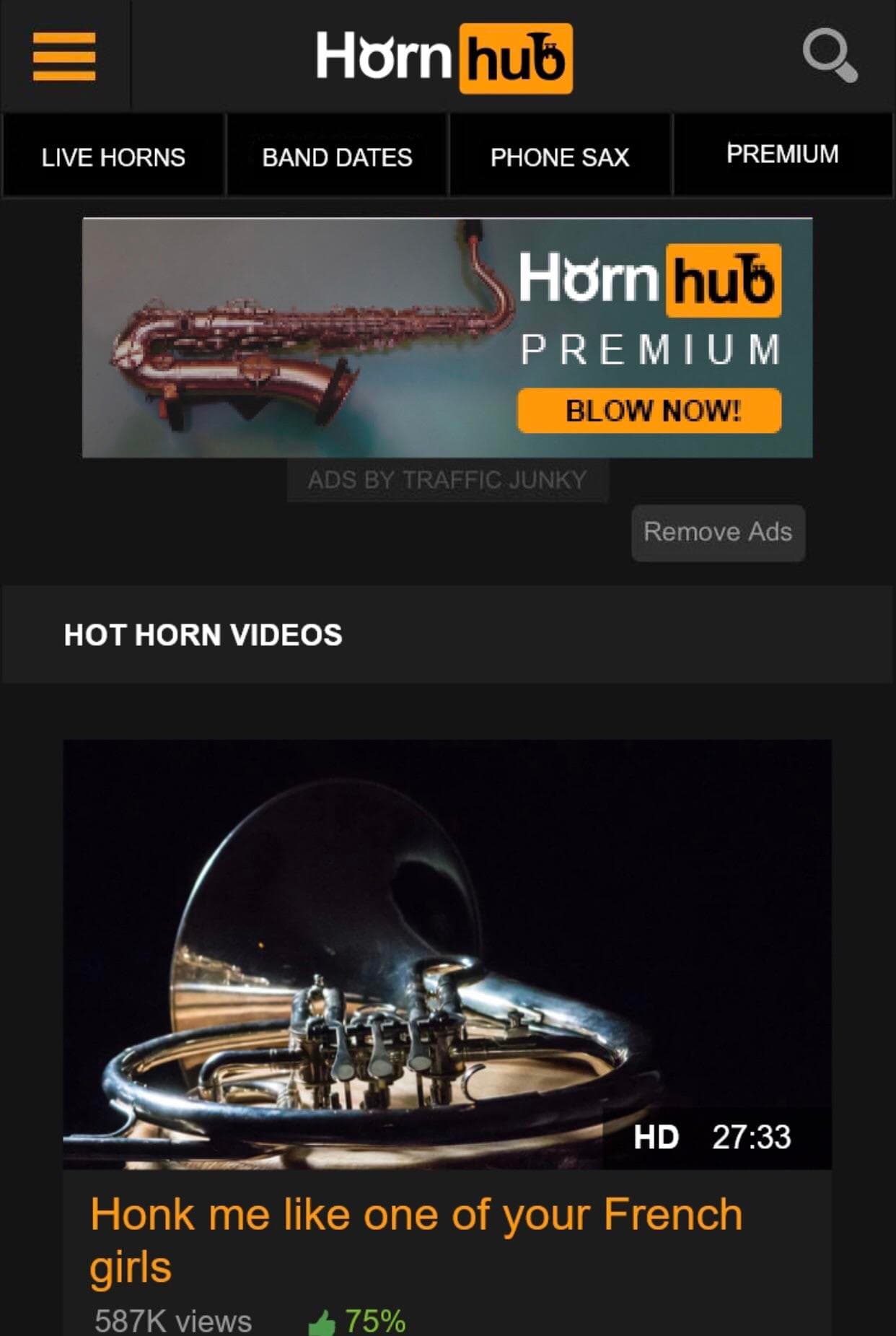 horn hub