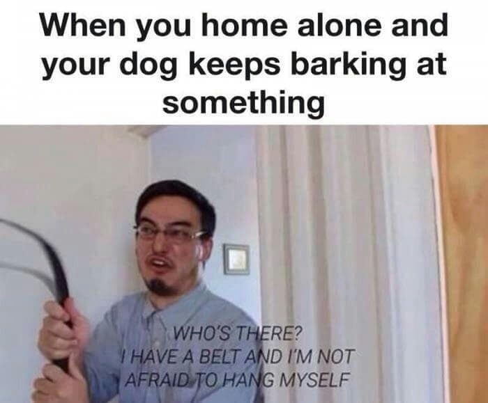when you home alone and your dog keeps barking at something